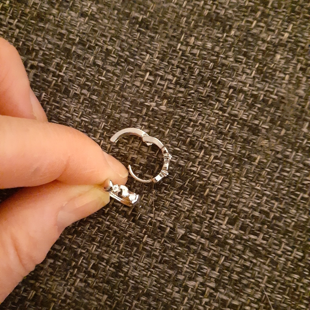 Earrings for weight loss, silvery, sparkly.
